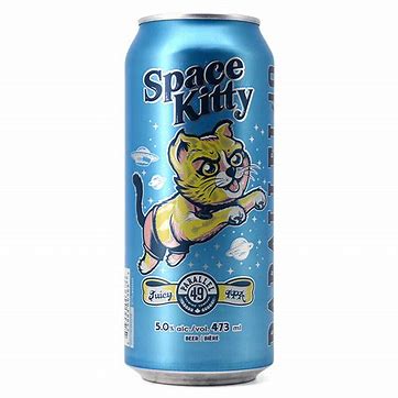 Parallel 49 Space kitty